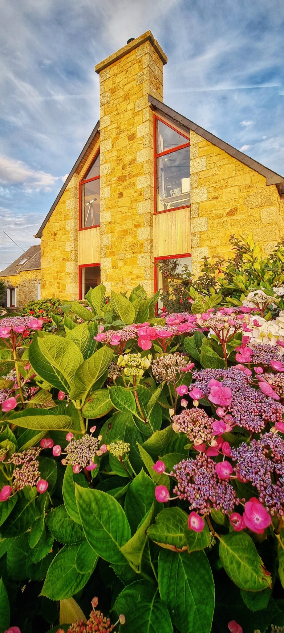 Kermohic – Jardin et villa cote mer hortensias coucher- vert- 20220627_215901-01